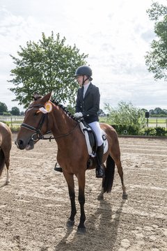 Bild 211 - Pony Akademie Turnier